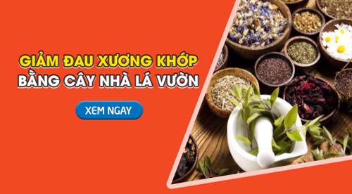 Các cách giảm đau xương khớp bằng cây nhà lá vườn có thể bạn chưa biết!