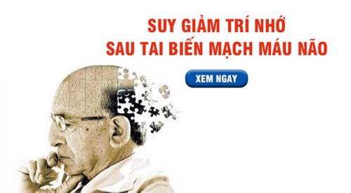 Cải thiện suy giảm trí nhớ sau tai biến mạch máu não từ thiên nhiên