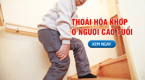 Thoái hóa khớp ở người cao tuổi: Triệu chứng và cách cải thiện từ thảo dược