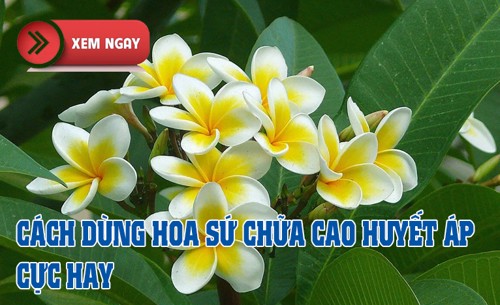 Hiệu quả khi điều trị tăng huyết áp bằng y học cổ truyền và dùng sản phẩm từ thảo dược