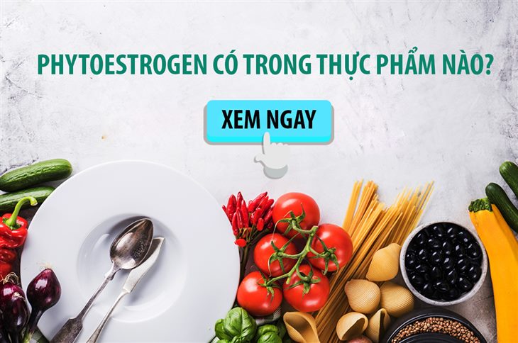 Phytoestrogen có trong thực phẩm nào? Top 9 gợi ý mà bạn không thể bỏ qua