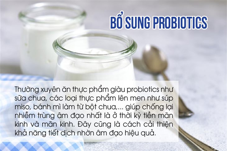 Bổ sung probiotics
