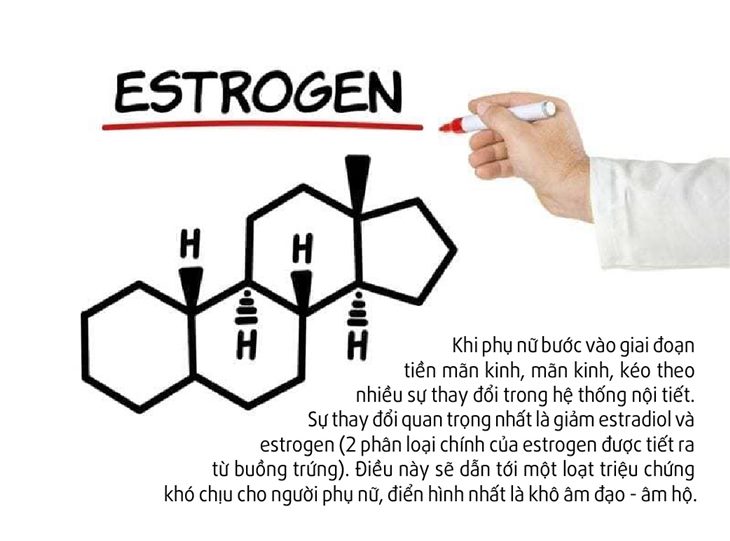 Suy giảm nội tiết tố estrogen