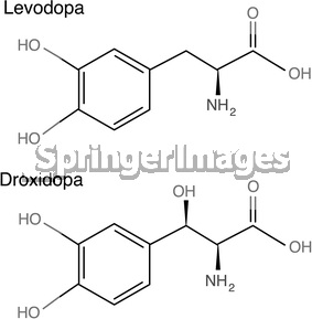 Tương tác giữa Protein và Levodopa