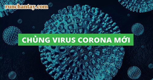 Hiểu về virus corona để chủ động phòng chống bệnh