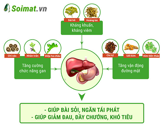 8 thảo dược quý trong Kim Đởm Khang giúp bài sỏi túi mật không đau, không phẫu thuật