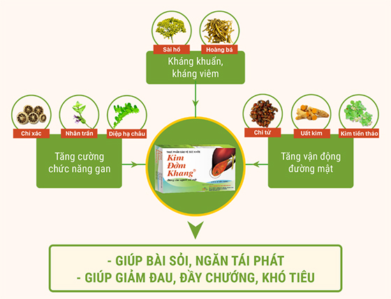 Bài thuốc 8 thảo dược quý trong Kim Đởm Khang có tác động toàn diện trên hệ thống gan mật