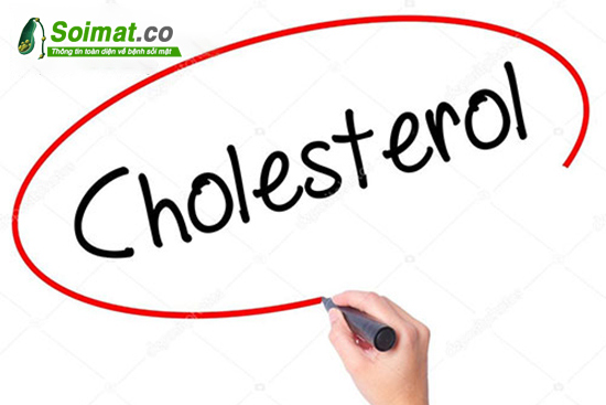 Nguyên nhân bị polyp túi mật cũng có thể do dư thừa cholesterol