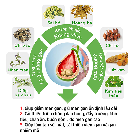8 thảo dược quý này đã được Viện thực phẩm chức năng Việt Nam nghiên cứu và bào chế thành dạng viên nang Kim Đởm Khang