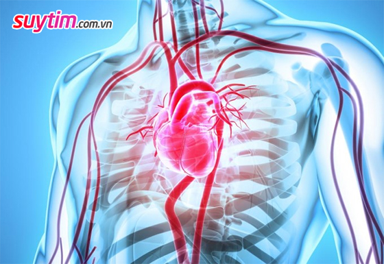 Bệnh cơ tim hạn chế: Bệnh lý hiếm gặp nhưng nguy hiểm