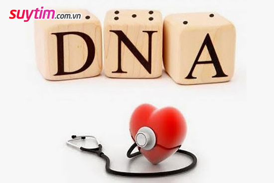  Bệnh tim có phải do gen di truyền?