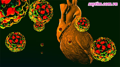 Nhiễm virus corona còn làm tổn thương tới cơ tim và hệ thống mạch máu