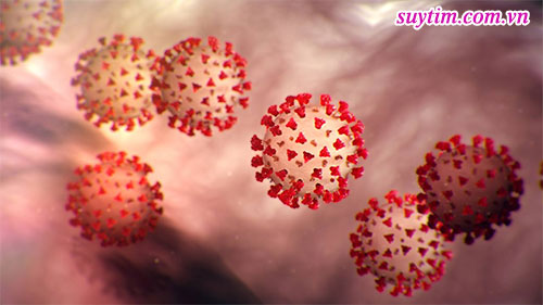 Virus Corona tấn công vào hệ thống tim mạch làm tổn thương cơ tim