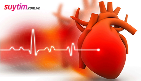 Bệnh cơ tim phì đại gây giảm lượng máu qua tim và từ tim đi nuôi cơ thể.