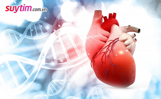 Suy tim là hậu quả cuối cùng của tăng gánh thất trái nếu không được điều trị tốt