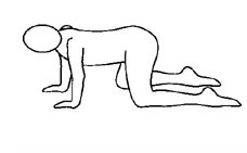 7 động tác giảm đau lưng hiệu quả