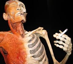 Hút thuốc lá có nguy cơ gây ung thư tủy xương